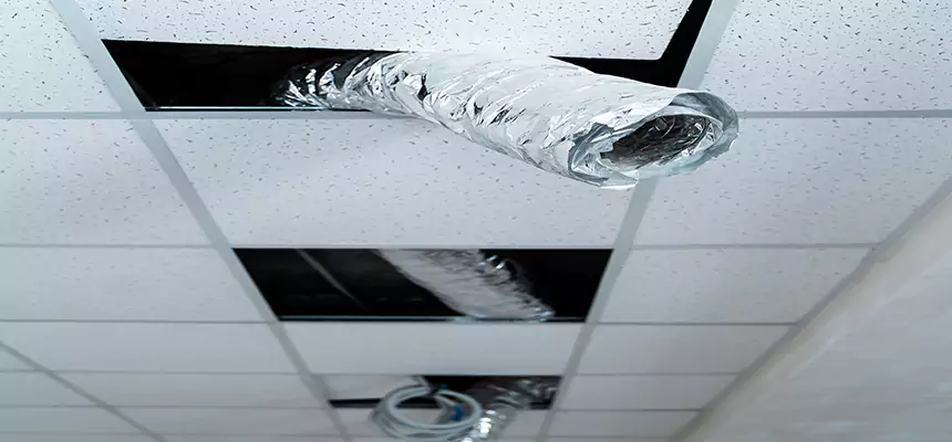 Our Air Duct Pet Hair Removal Services in Bell Gardens, CA