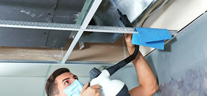 Our Air Duct Rodent Removal Services in Bell Gardens, CA
