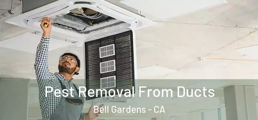  Pest Removal From Ducts Bell Gardens - CA