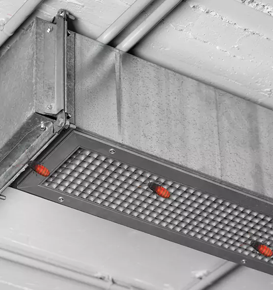 Affordable Insect Removal from Air Ducts in Bell Gardens, CA