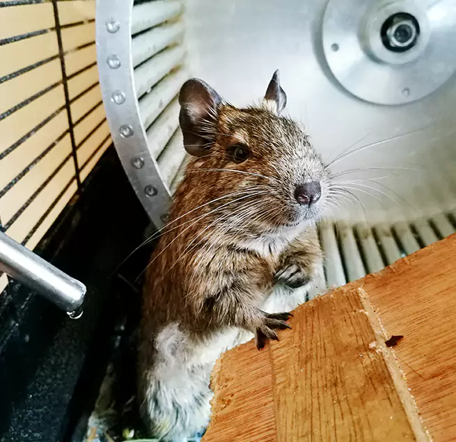 Why Homeowners & Businesses Trust Us Bell Gardens, CA