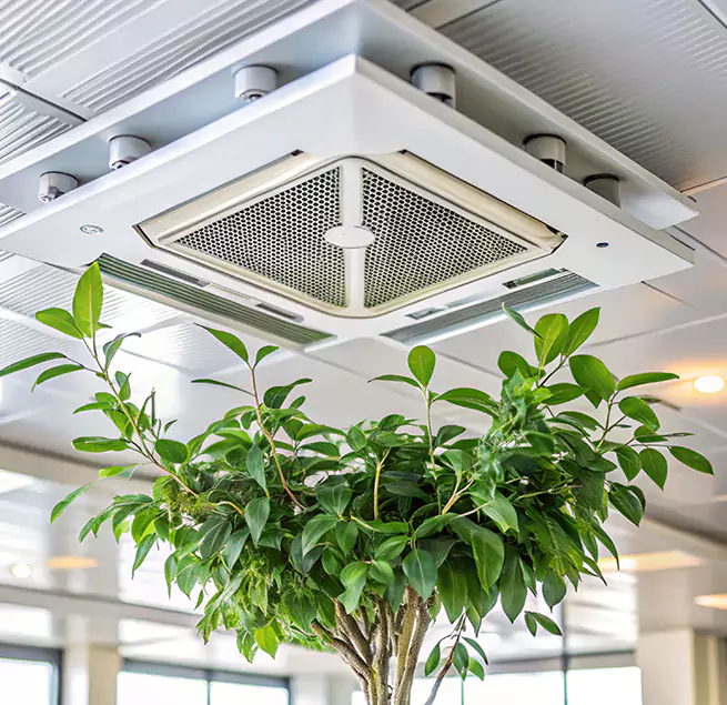 Why Homeowners & Businesses Trust Us in Bell Gardens, CA?